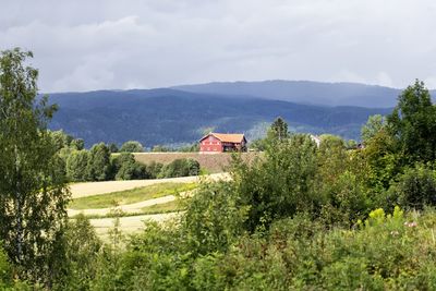 Scenic view of trees and mountains against sky