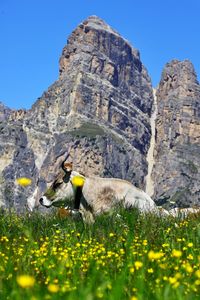 Rear view of man standing on rock formations against clear blue sky