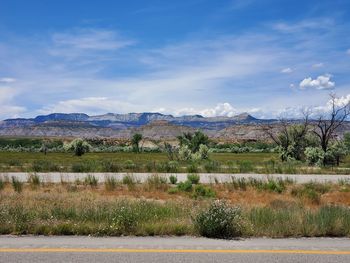 Scenic view of field against sky