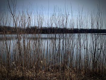 Scenic view of lake against clear sky