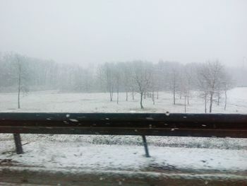 Snow covered trees on field