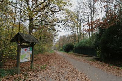 Empty road along trees