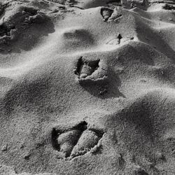 High angle view of footprints on snow covered landscape