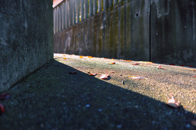 Surface level of wall with shadow on footpath