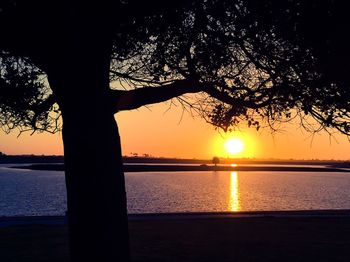 Silhouette tree by sea against sky during sunset