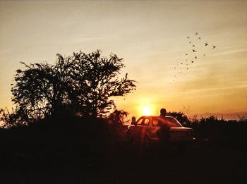 Silhouette of trees at sunset
