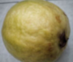 High angle view of lemon on table