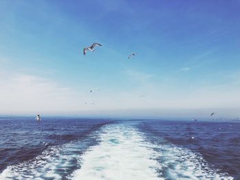Seagulls flying over sea against sky