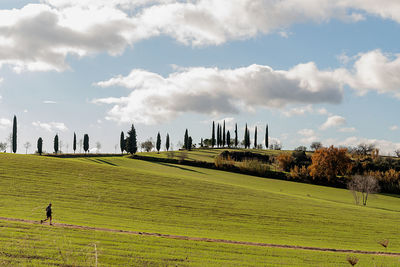 Scenic view of field against sky