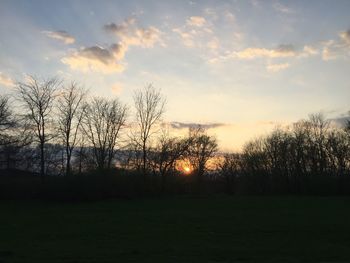 Silhouette trees on field against sky at sunset