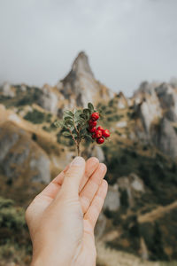 Close-up of hand holding red berries