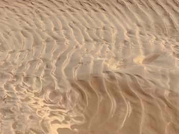 Full frame shot of sand dune