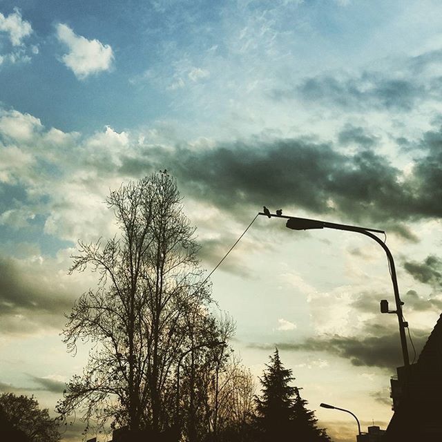 low angle view, sky, silhouette, cloud - sky, tree, cloudy, bare tree, cloud, nature, branch, tranquility, dusk, outdoors, street light, beauty in nature, weather, no people, overcast, power line, day