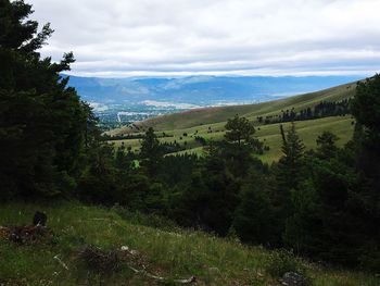 Scenic view of landscape against sky