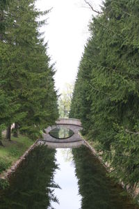 Reflection of trees in river