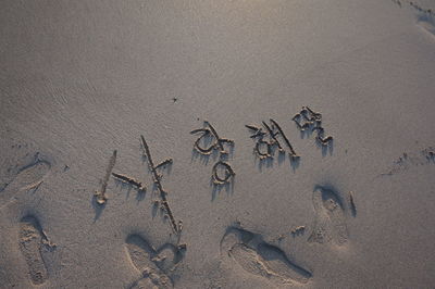 High angle view of footprints on wet sand