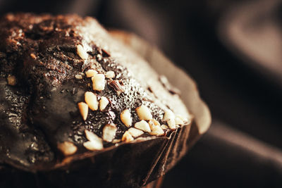 Close-up of chocolate cake