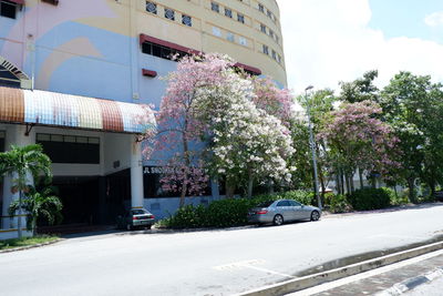 Cars on street amidst buildings against sky