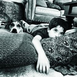 pets