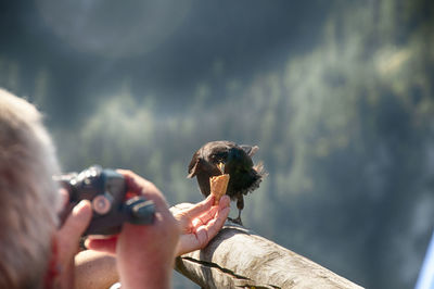 People photographing outdoors