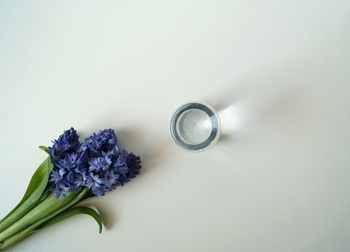 Directly above shot of glass vase by hyacinth flowers on table