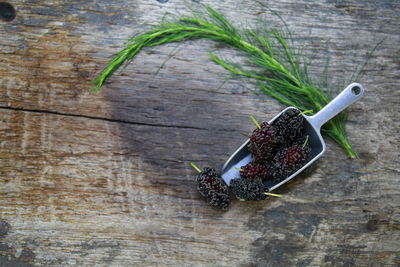 High angle view of fruit on table