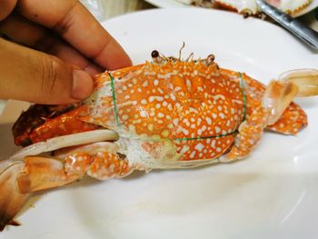 Close-up of hand holding burger