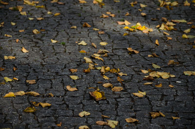 Full frame shot of yellow surface