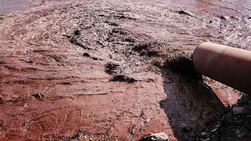 High angle view of human hand on rock