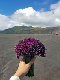 Midsection of person holding purple flowering plant against mountain