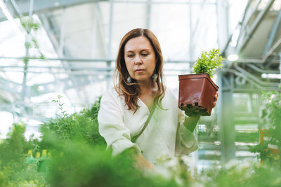 Brunette middle aged woman in white dress buys green potted house plants at garden store