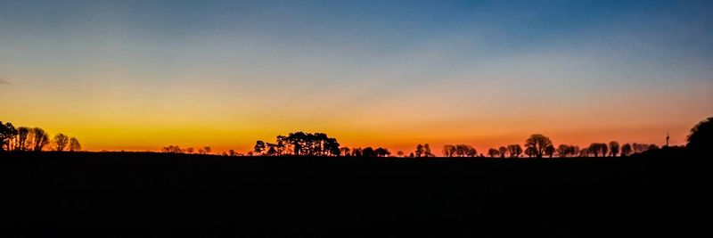 Silhouette trees on landscape against sky during sunset