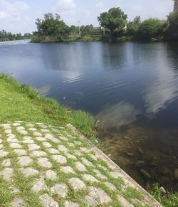 High angle view of plants and lake against sky