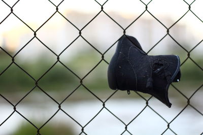Close-up of baby shoe on chainlink fence