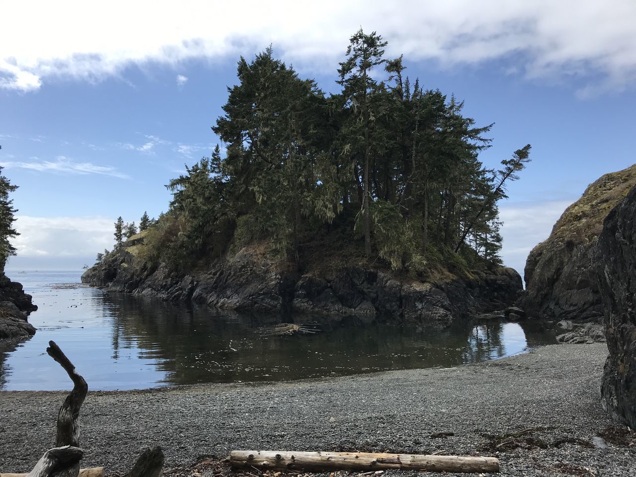 TREES BY ROCKS ON SHORE AGAINST SKY