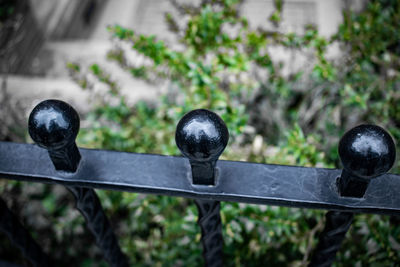 Close-up of metal railing against plants