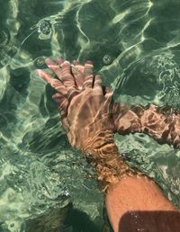 High angle view of person swimming in sea