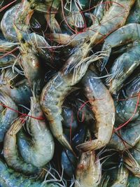 Full frame shot of carrots for sale