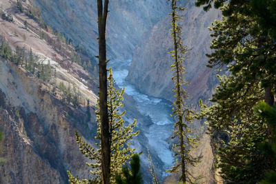 High angle view of waterfall along trees