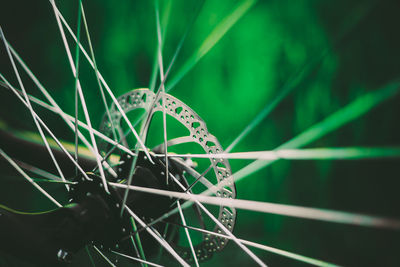 Close-up of spider web on plant