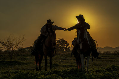 View of horses on field during sunset