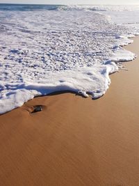 Aerial view of beach