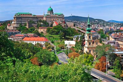 The view of buda castle in budapest, hungary.