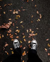 Low section of person standing on autumn leaves