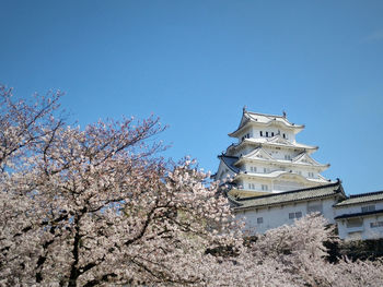 Low angle view of himeji castle against clear blue sky