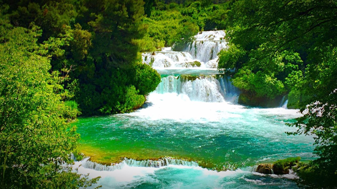 water, waterfall, flowing water, tree, flowing, motion, beauty in nature, scenics, nature, rock - object, forest, long exposure, river, stream, idyllic, tranquil scene, green color, tranquility, rock formation, plant