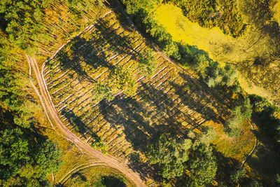 Aerial view of landscape