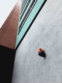 High angle view of ladybug on wall