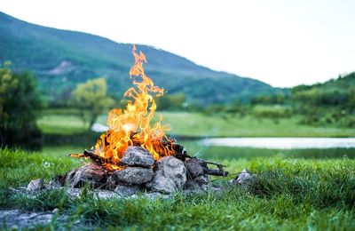 Burning fire in nature on the lake the embers in the fire. burning coal in the bonfire.