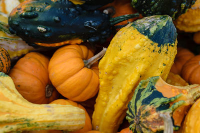Full frame shot of pumpkins for sale at market stall